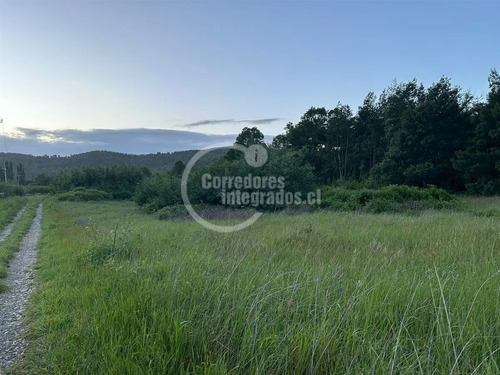 Sitio En Venta En Lanco Precioso