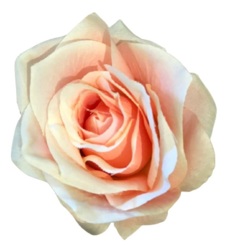 Buquê De Rosas X9 55cm - Salmon Outono