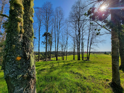 Preciosa Parcela Con Bosque De Robles Y Vista A Lagunas