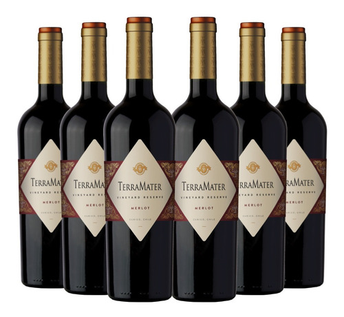 6 Vinos Terramater Vineyard Reserva Merlot