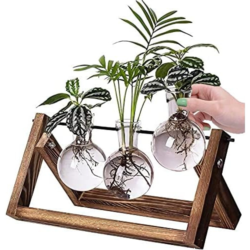 Porta Plantas De Cristal Escritorio Soporte De Hierro Y...