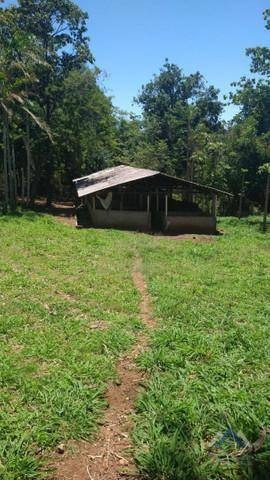 Imagem 7 de 15 de Chácara Com 2 Dormitórios À Venda, 30000 M² Por R$ 500.000,00 - Agua Das Flores - Jataizinho/pr - Ch0155
