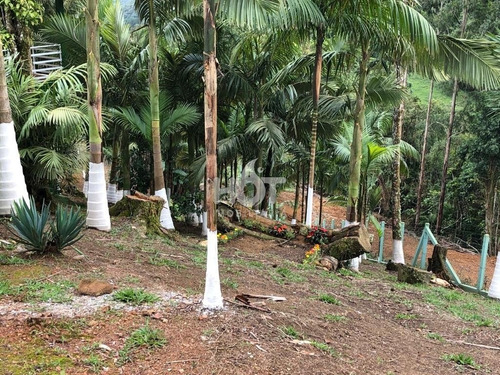 Imagem 21 de 25 de Sítio A Venda Em Águas Mornas - 2204