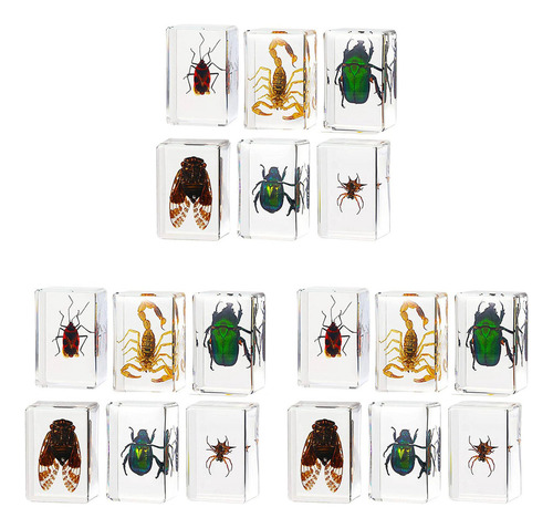 Fwefww Pisapapeles De Resina Para Insectos De La Colección