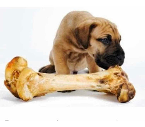 Hueso Femur Res Gigante Calambombo Snack Perros Envio Gratis