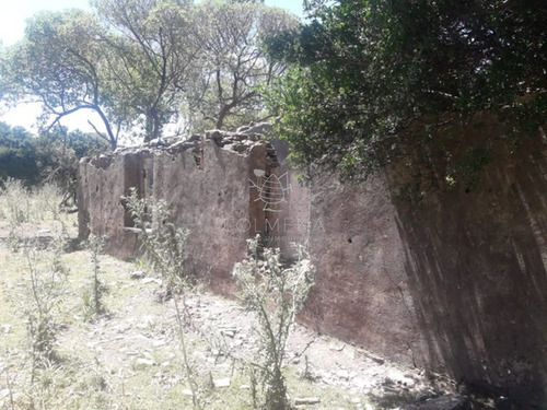 Imagen 10 de 14 de Campo Cerca De La Ruta 12 Y Ruta 60 - Minas