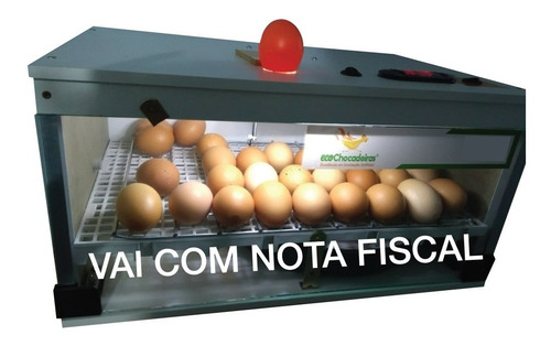 Chocadeira De 50 A 52 Ovos De Galinha