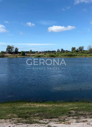 Venta Terreno De 11000mts En Carrasco Este .