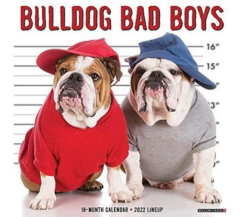 Bulldog Bad Boys 2022 Wall Calendar (dog Breed) -..., De Willow Creek Pr. Editorial Willow Creek Press Calendars En Inglés