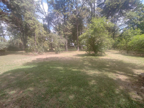 Imagen 8 de 30 de Hermosa Quinta Con Mucha Arboleda Añeja