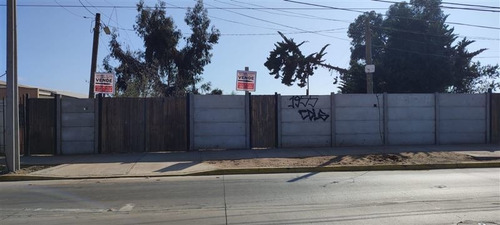 Imagen 8 de 8 de Sitio En Venta En La Serena