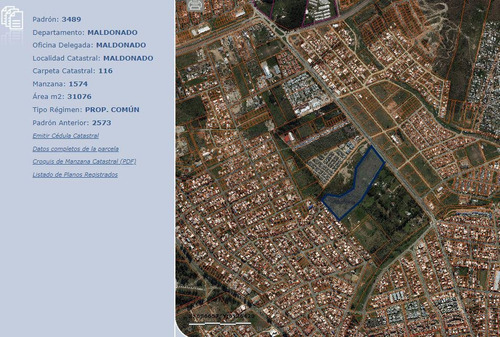 Imagen 4 de 8 de Terreno - Maldonado