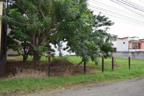 Imagen 1 de 13 de Lote 590 M2, Con 29m De Frente A Calle, Es Plano, Y Se Ubica A 500m Mas X Menos San Joaquín. Potencial Para Apartamentos