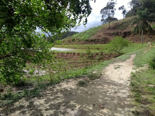Imagem 25 de 30 de Sitio No Juquiá - St00024