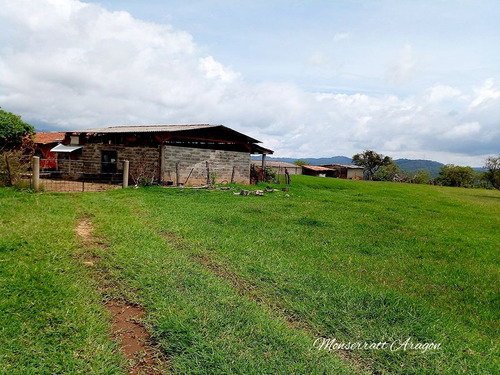 Increíble Terreno Con Manantial