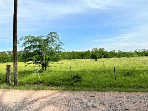 Campo En Venta Exaltacion De La Cruz Ruta 192 Lujan