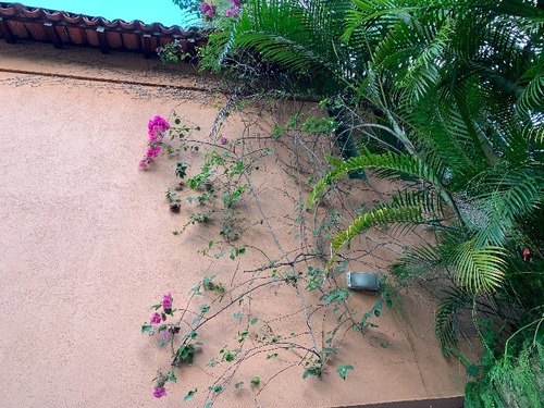 Casa Para Alugar Na Rua Sérgio Porto, Gávea, Rio De Janeiro - Rj - Liv-13530