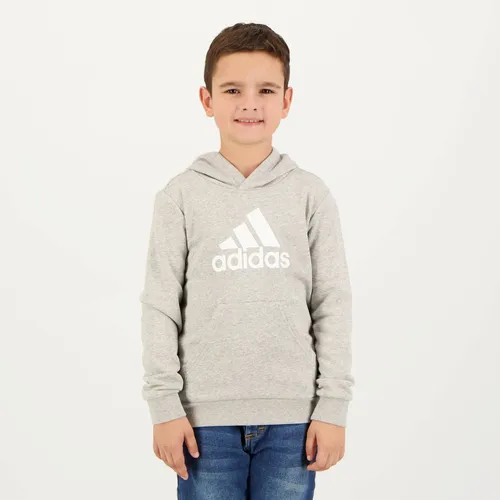 Moletom adidas Big Logo Juvenil Cinza
