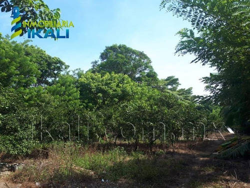 Imagen 8 de 8 de Terreno En Venta Juana Moza
