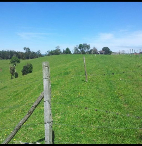 Venta Parcela Ancud Bahia Linao