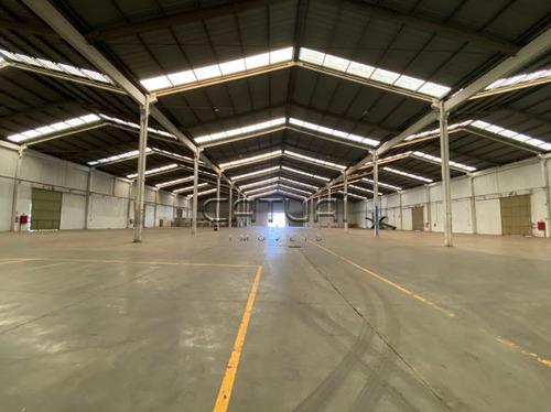 Comercial Galpão / Barracão - 303699-l