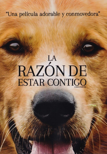 La Razon De Estar Contigo Pelicula Original Dvd