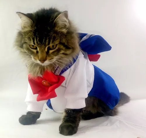 estanque Perpetuo Máxima Ropa Buzo Vestido Perro Gato Mascota Anime