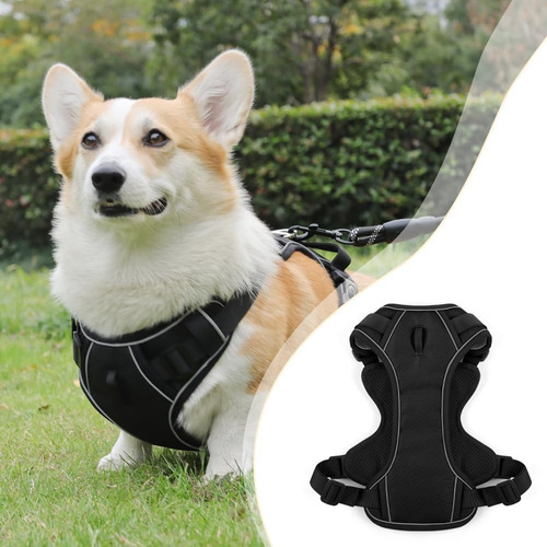 Pechera Arnés Reforzada Con Correa Para Perro Mediano Grande Negro S Color Blocking