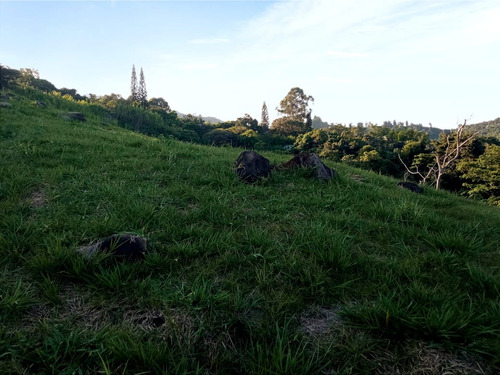 Venta Lote N°6 En Parcelación Campestre Dapa