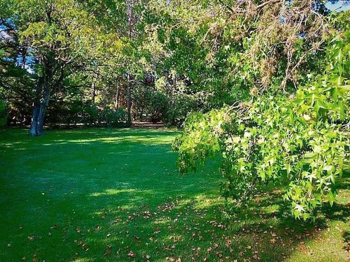 Imagen 6 de 7 de Exclusivo Lote En Venta En Country San Diego- Moreno