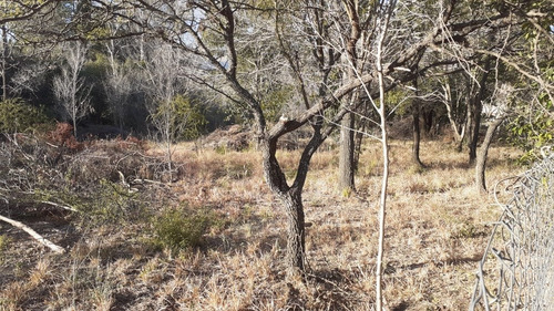 Imagen 5 de 5 de Lotes En Venta A Una Cuadra De Avenida Del Sol, Merlo.