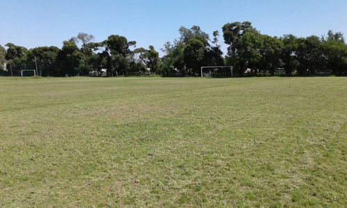 Imagen 10 de 14 de Terreno Alquiler Villa Coronel Olmedo