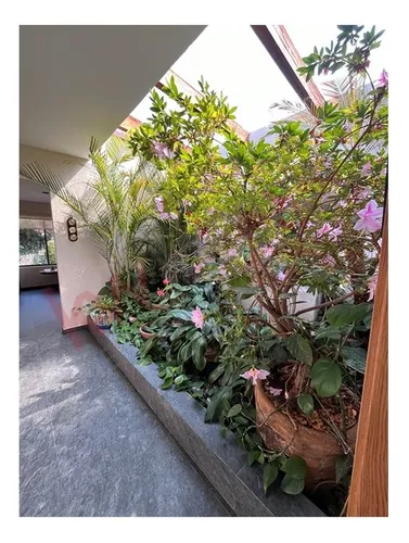Casa En Renta Atrás Del Hospital Ángeles Pedregal 347 M² De Construcción En Un Solo Nivel