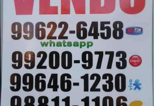 Imagem 3 de 4 de Galpao/pavilhao-salao-comercial-para-venda-em-jardim-macedo-sao-jose-do-rio-preto-sp - 2019101