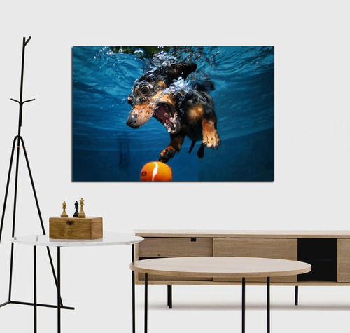 Vinilo Decorativo 20x30cm Perro Bajo El Agua Dog M6