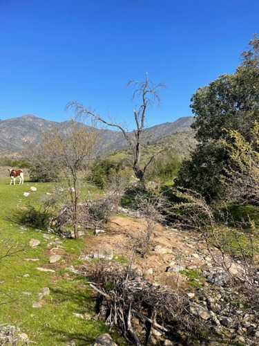 Terreno 151 Ha Con Aguas Inscritas Los Guindos, Melipilla