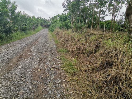 Imagen 6 de 8 de Oportunidad Terreno De 6100 M2 A 5 Minutos De El Carmen