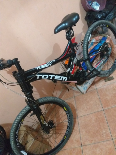Totem