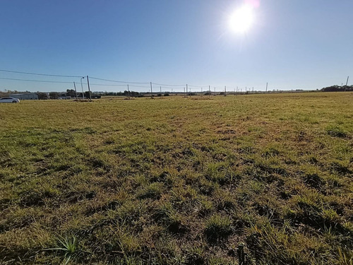 Exclusivo Lote En Libertador San Martín - Puiggari