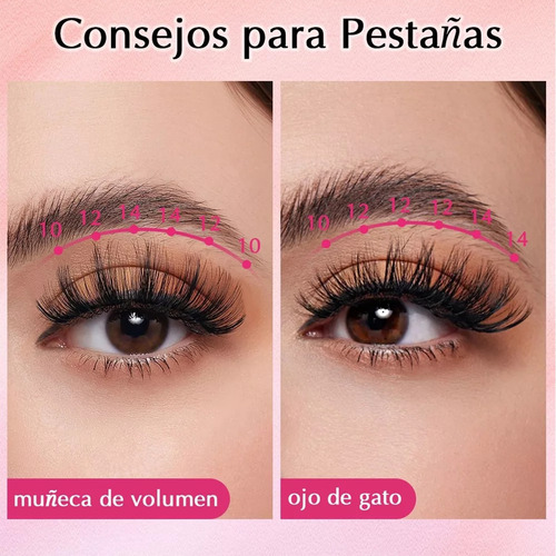 Kit De Extensión De Pestañas Mezcla 30d 40d Con Unión