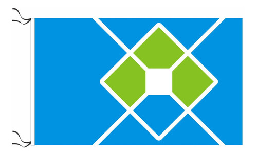 Bandera De La Ciudad De La Plata 45x70