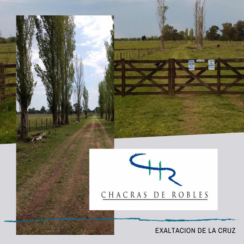 Chacra En Venta