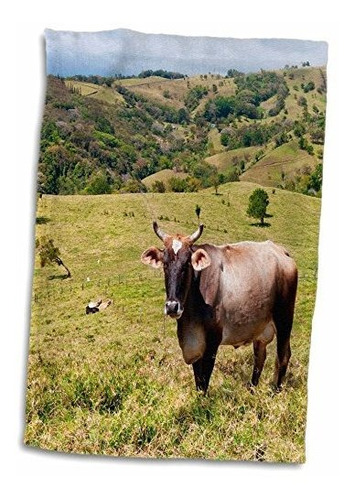 Toalla De Manos Brahman Cattle-costa Rica De 3d Rose Aliment