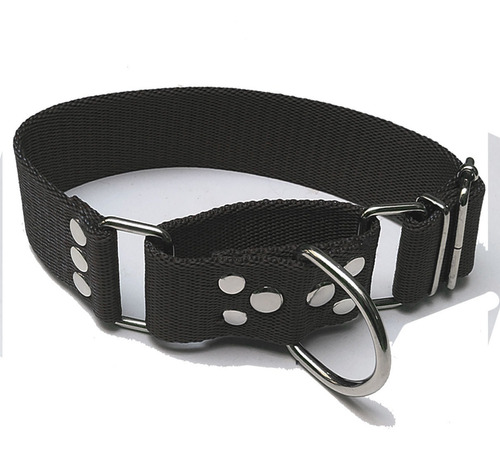 Collar Martingale Perro Fuerte Ajustable Reforzado Galgo