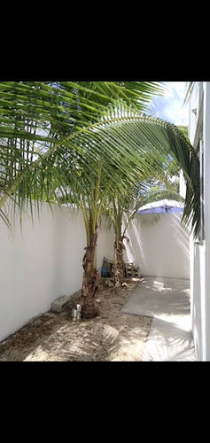 Imagen 8 de 30 de Casa En Venta En Villa Maya Playa Del Carmen