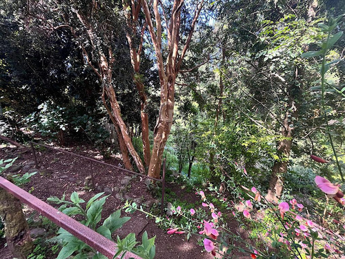 Hermoso Sitio Con 2 Casas En Frutillar Bajo.