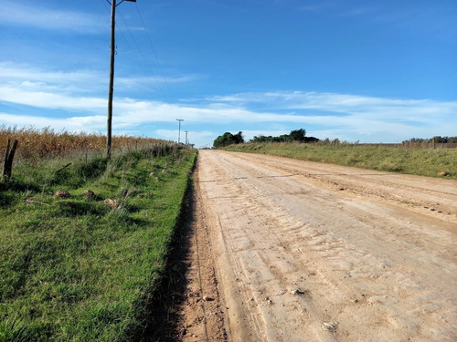 Imagen 5 de 7 de Campo De 62100m2 Agrícolas En Mechongue