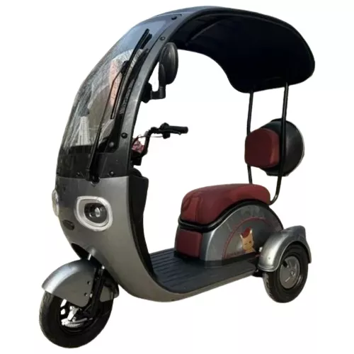 Carrinho Estilo Drift Triciclo Elétrico Tipo Scooter Motorizado