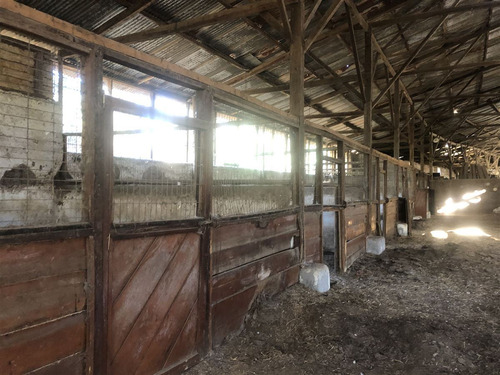 Parcela Con Bodegas En Venta Camino Lonquén, Calera De Tango