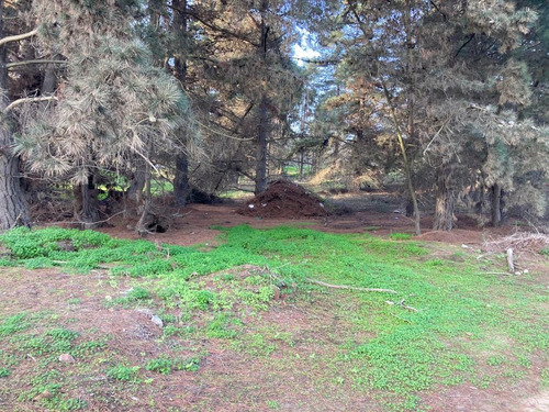 Los Pinos Parcela Subdividida Con Seis Lotes Inscritos Cbr